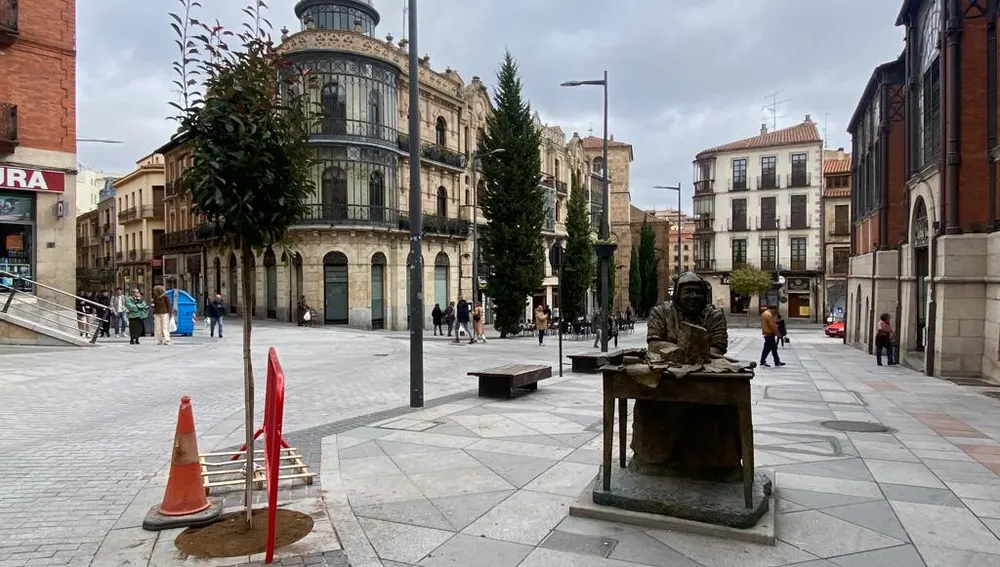 Árbol junto al Mercado Central Árbol junto al Mercado Central