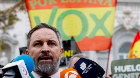 Santiago Abascal, líder de Vox a las puertas del Tribunal Supremo/ EFE/Javier Lizón