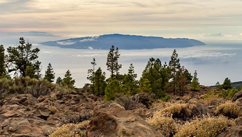 Imagen de un paisaje de Canarias Imagen de un paisaje de Canarias