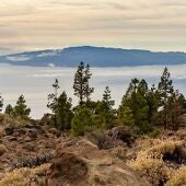 Imagen de un paisaje de Canarias