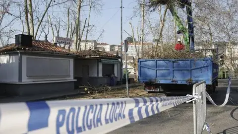 O P.P. insta ao goberno municipal a acometer un plan de poda na cidade O P.P. insta ao goberno municipal a acometer un plan de poda na cidade