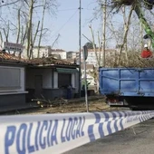 O P.P. insta ao goberno municipal a acometer un plan de poda na cidade O P.P. insta ao goberno municipal a acometer un plan de poda na cidade