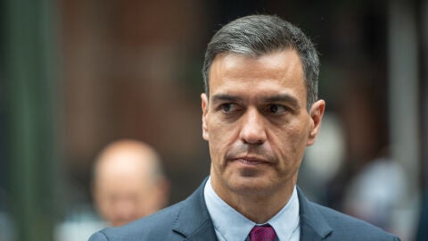 Pedro S&aacute;nchez 