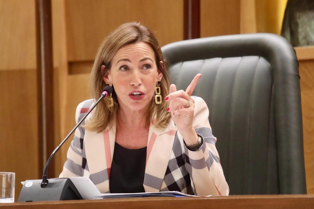 Bronca en el pleno del Ayuntamiento de Zaragoza por la amnistía Bronca en el pleno del Ayuntamiento de Zaragoza por la amnistía