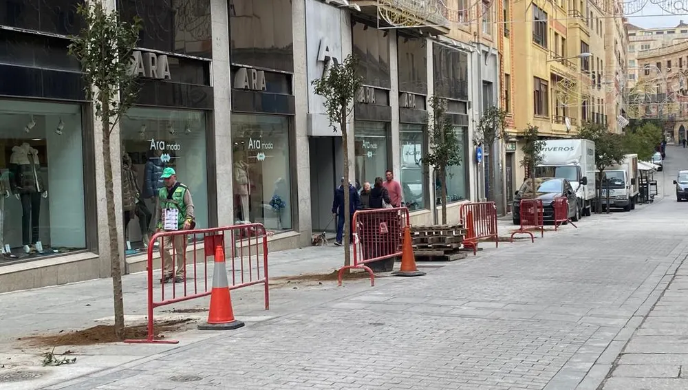 Árboles recién plantados en la calle del Pozo Amarillo Árboles recién plantados en la calle del Pozo Amarillo