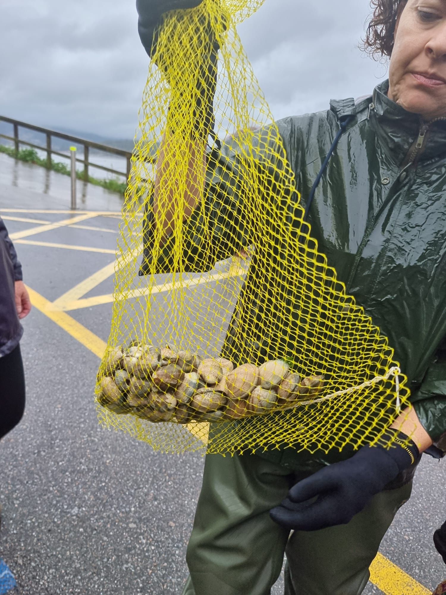 Carmen Vázquez: "Estamos encontrando mucha mortandad en todo el marisco" Carmen Vázquez: "Estamos encontrando mucha mortandad en todo el marisco"