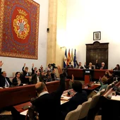 Pleno extraordinario en el Ayuntamiento de Jerez Pleno extraordinario en el Ayuntamiento de Jerez