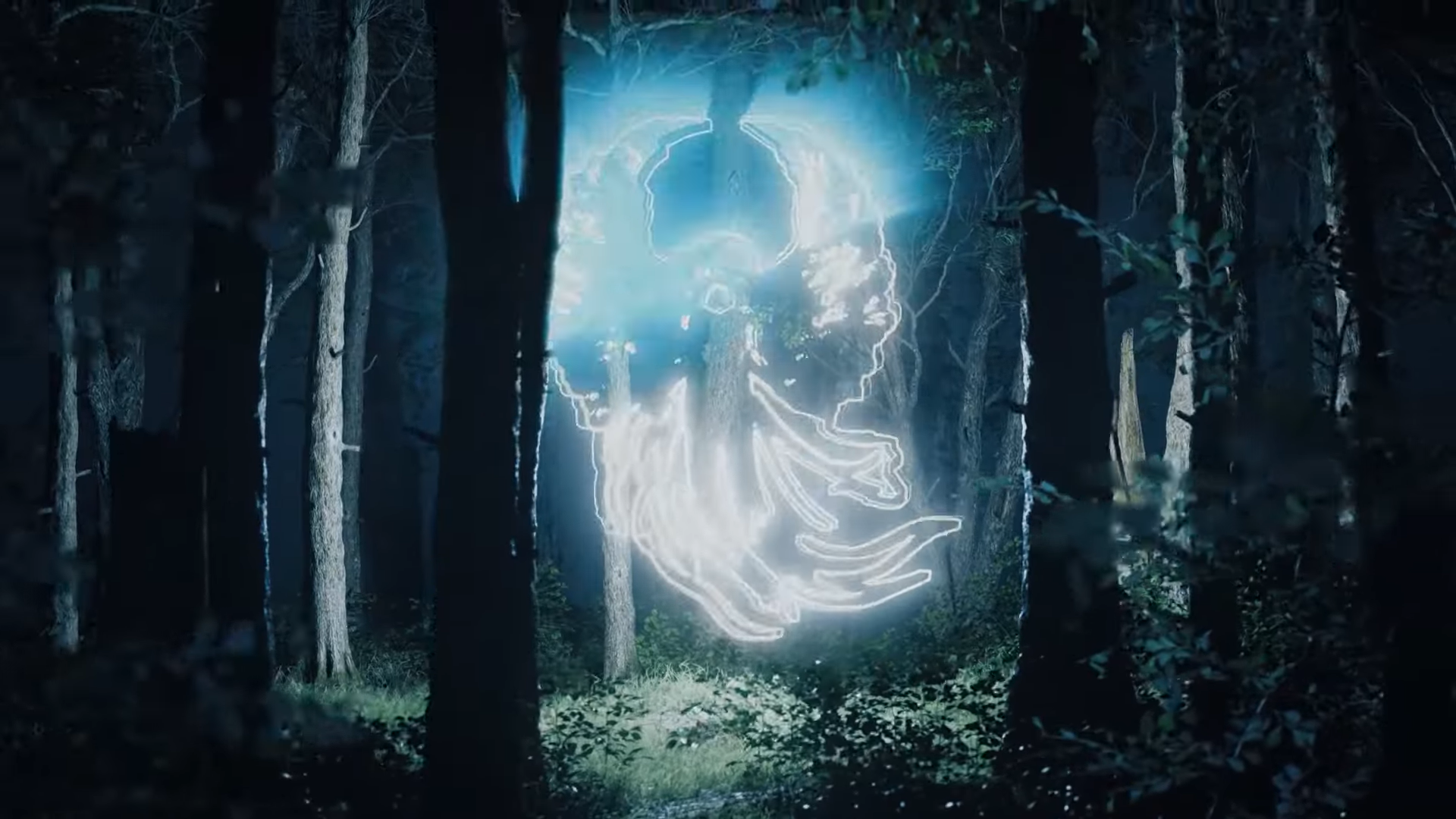 Así serán las luces de Navidad del Botánico de Málaga: precios y recorrido Así serán las luces de Navidad del Botánico de Málaga: precios y recorrido