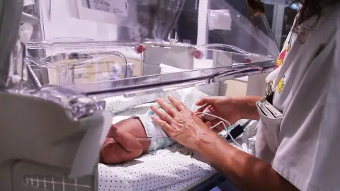 bebé prematuro 30 bebés prematuros evacuados del hospital Shifa de Gaza serán trasladados a Egipto