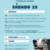 almanimal almanimal