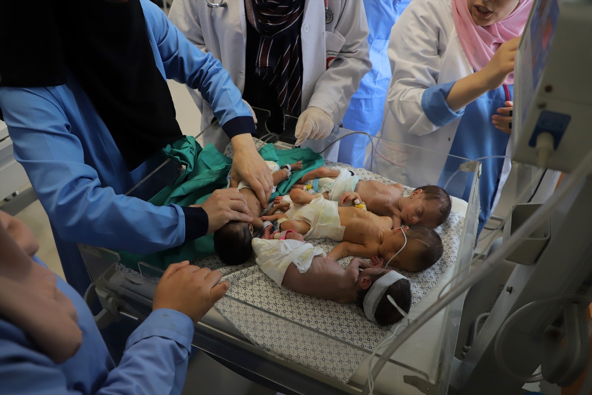Los 28 bebés evacuados de Gaza a Egipto, en estado crítico Los 28 bebés evacuados de Gaza a Egipto, en estado crítico