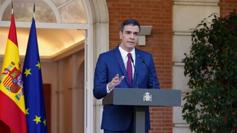 Pedro S&aacute;nchez