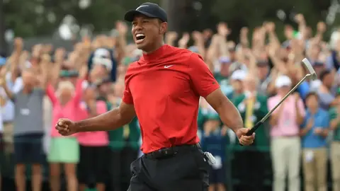 tiger tiger