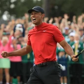 tiger tiger