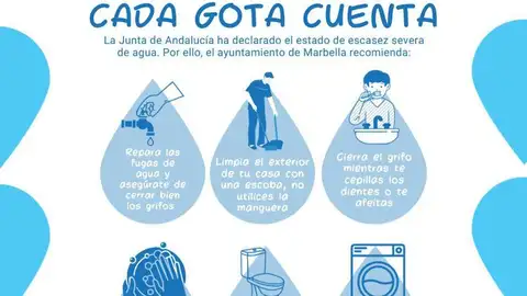 TEMA DE HOY TEMA DE HOY