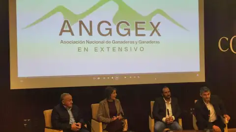 Presentación de la ANGGEX Presentación de la ANGGEX