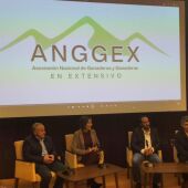 Presentación de la ANGGEX