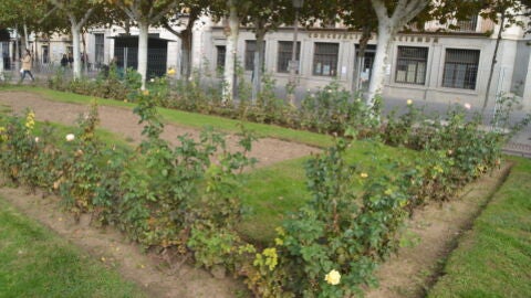 Parterre de la Plaza de Cervantes de Alcal&aacute; de Henares