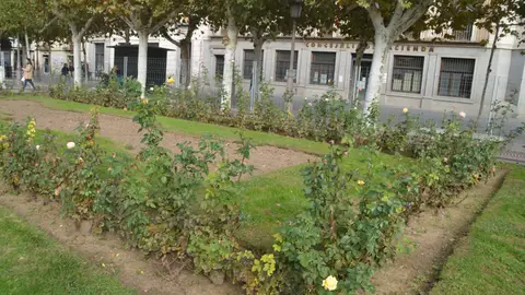 En marcha los trabajos arqueológicos para comprobar el estado del refugio antiaéreo de la Guerra civil ubicado bajo la Plaza de Cervantes de Alcalá de Henares Parterre de la Plaza de Cervantes de Alcalá de Henares