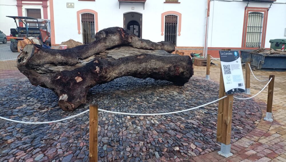 Durante las fiestas de San Sebastián se realiza “La Candela” .