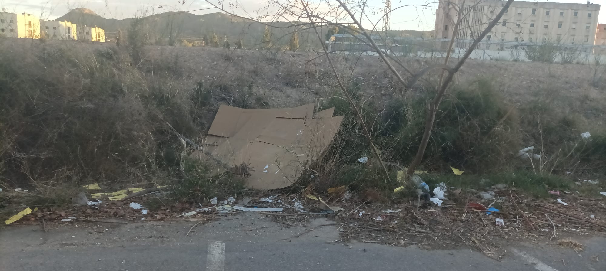 El Grupo Municipal Socialista denuncia abandono en el entorno del IES Sierra de Carrascoy de El Palmar El Grupo Municipal Socialista denuncia abandono en el entorno del IES Sierra de Carrascoy de El Palmar