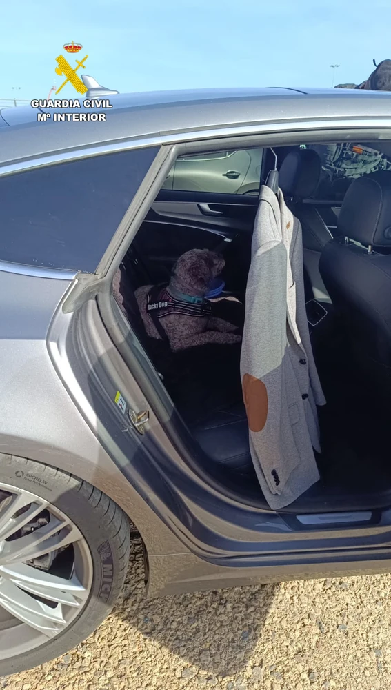 El perro fue encontrado en el interior de un vehículo aparcado junto al Circuito de Cheste, en València