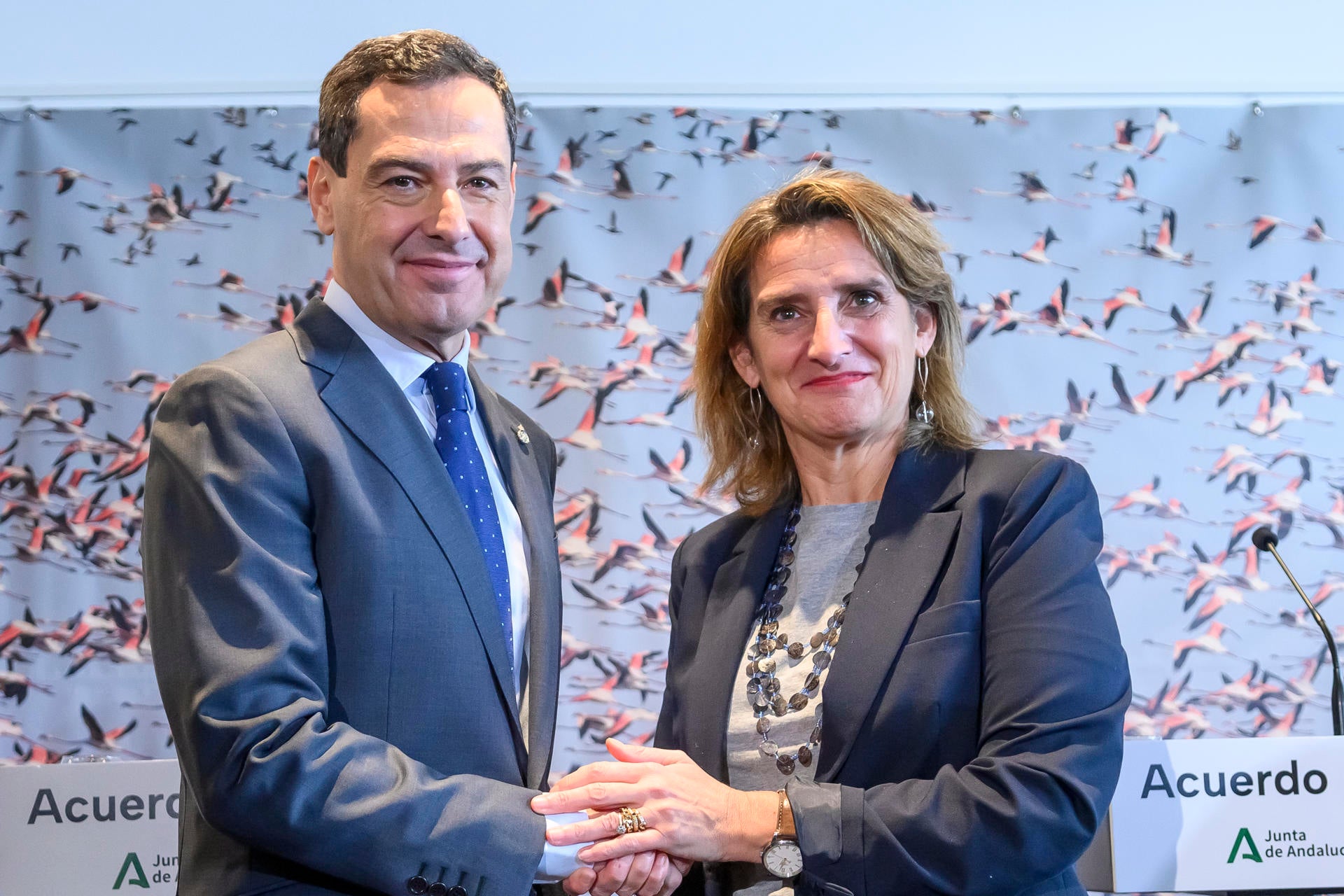 El gabinete: ¿en qué consiste el acuerdo entre el Gobierno y la Junta de Andalucía sobre Doñana? El gabinete: ¿en qué consiste el acuerdo entre el Gobierno y la Junta de Andalucía sobre Doñana?