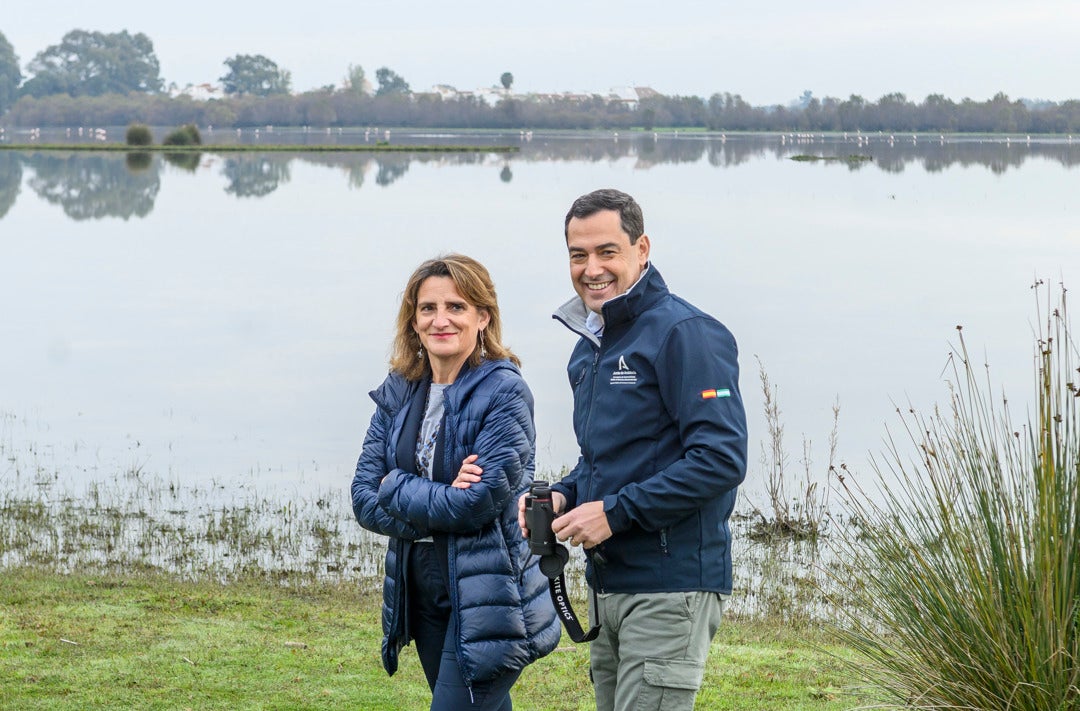 Teresa Ribera: "Nunca he sentido que Ayuso tenga intención en ser amiga de nadie" Teresa Ribera: "Nunca he sentido que Ayuso tenga intención en ser amiga de nadie"