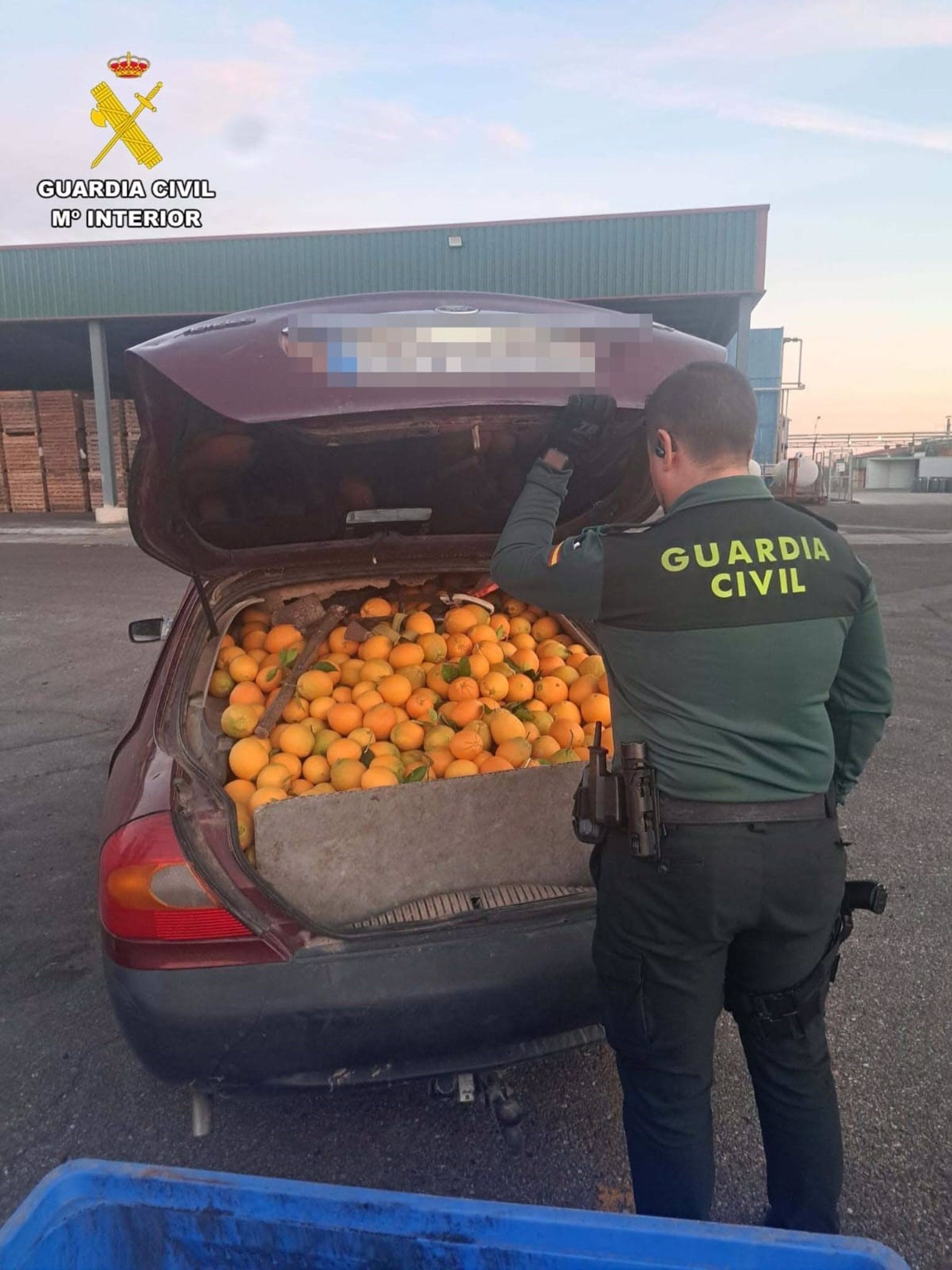 Recuperados más de 4.000 kilos de naranjas robadas y ocho detenidos por su sustracción Recuperados más de 4.000 kilos de naranjas robadas y ocho detenidos por su sustracción