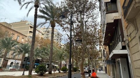 Recta final de la reforma de la avenida del Doctor Gadea
