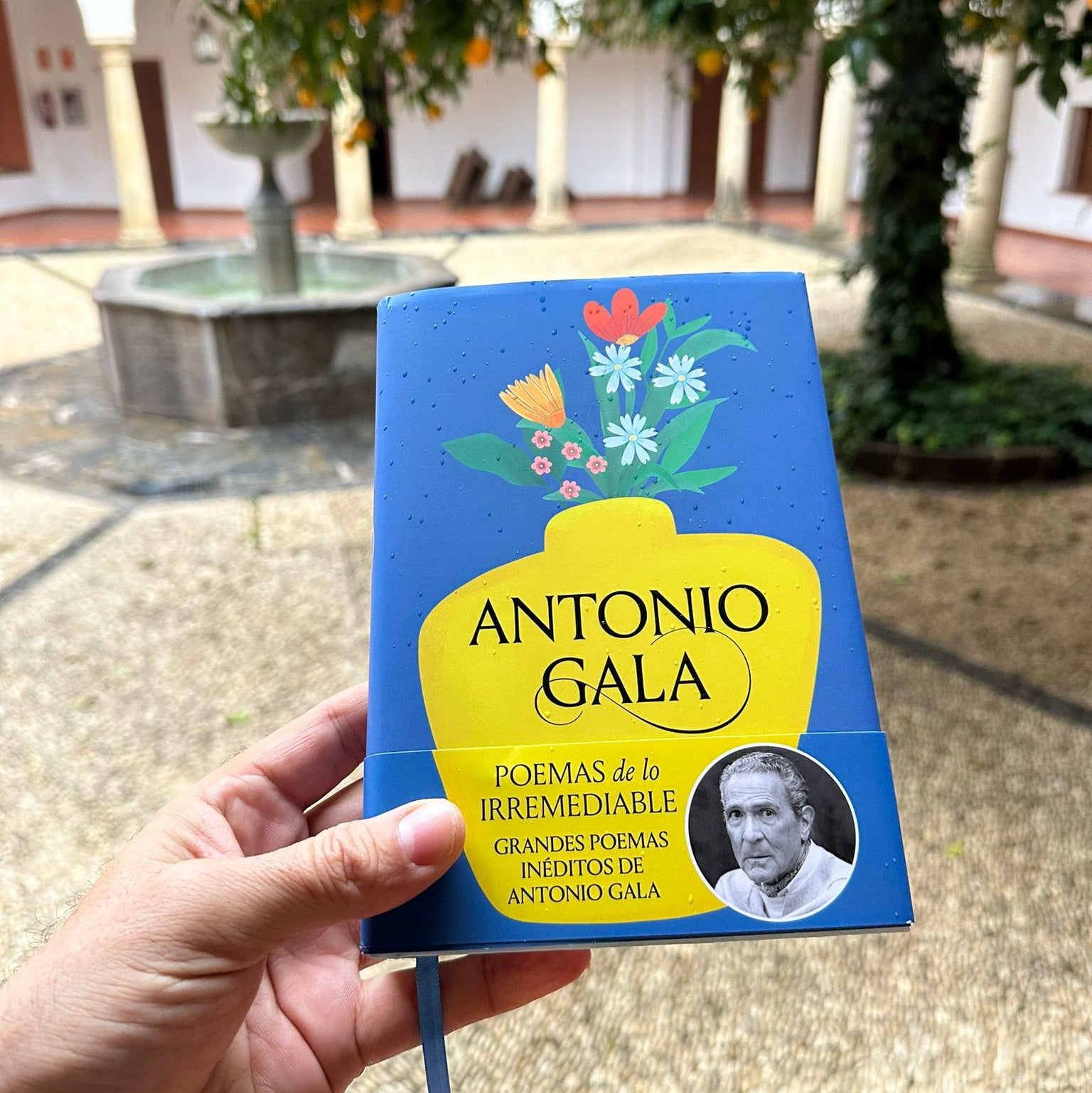 "Gala tenía una joya en su cajón con estos Poemas de lo Irremediable" "Gala tenía una joya en su cajón con estos Poemas de lo Irremediable"