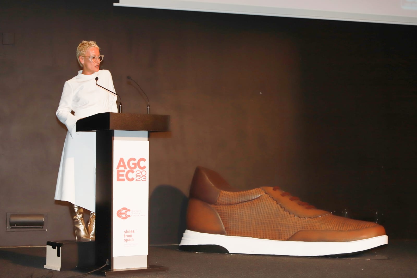 La empresaria de Elche Rosana Perán, nueva presidenta de la Confederación Europea del Calzado La empresaria de Elche Rosana Perán, nueva presidenta de la Confederación Europea del Calzado