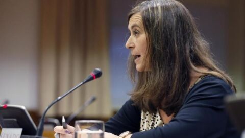 Susana Gisbert, durante su intervenci&oacute;n en una comisi&oacute;n del Senado.