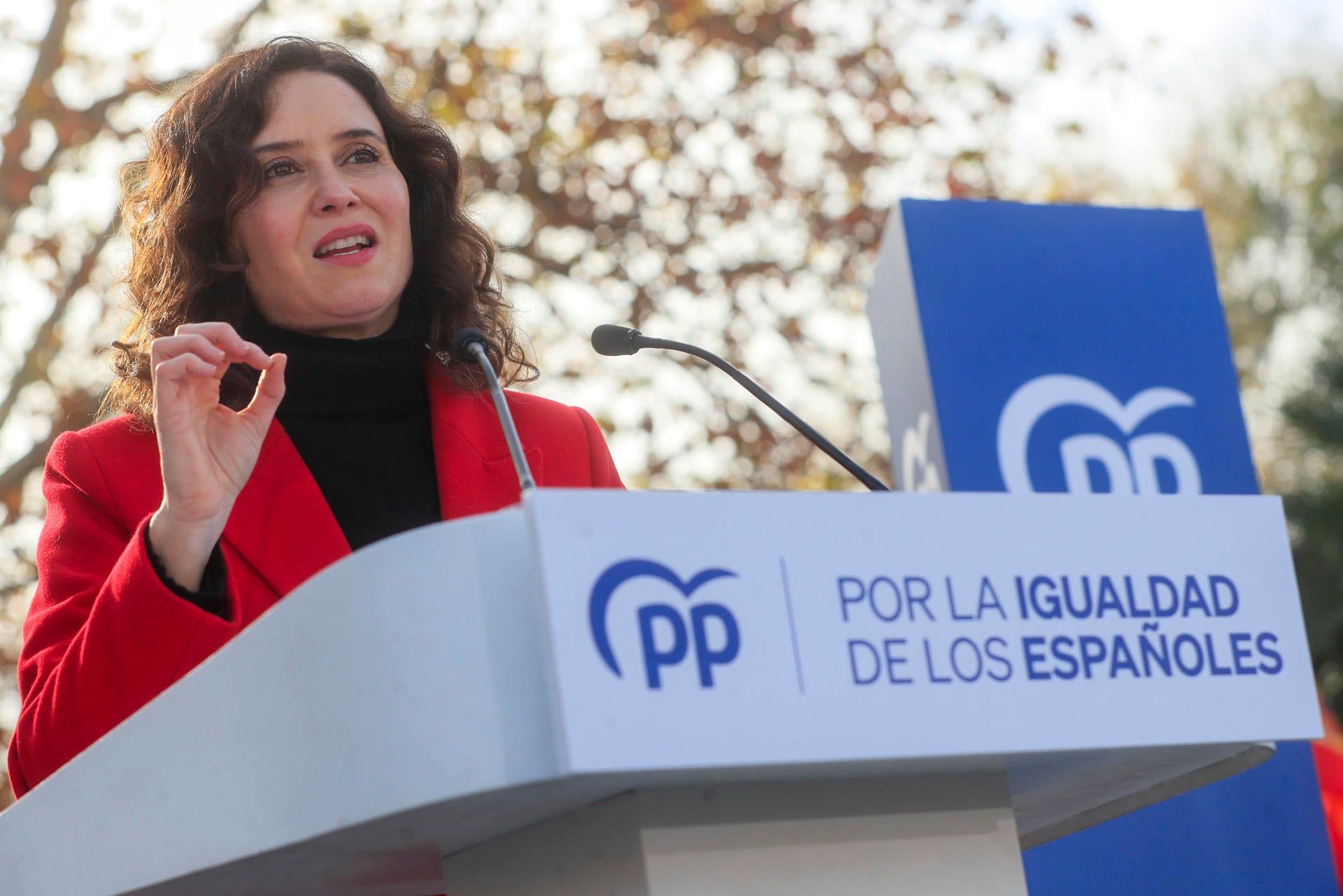 Isabel Díaz Ayuso: "Decir 'no' a la amnistía es defender la Constitución" Isabel Díaz Ayuso: "Decir 'no' a la amnistía es defender la Constitución"
