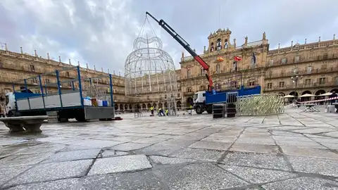 Colocación de la campana en la Plaza Mayor de Salamanca Colocación de la campana en la Plaza Mayor de Salamanca