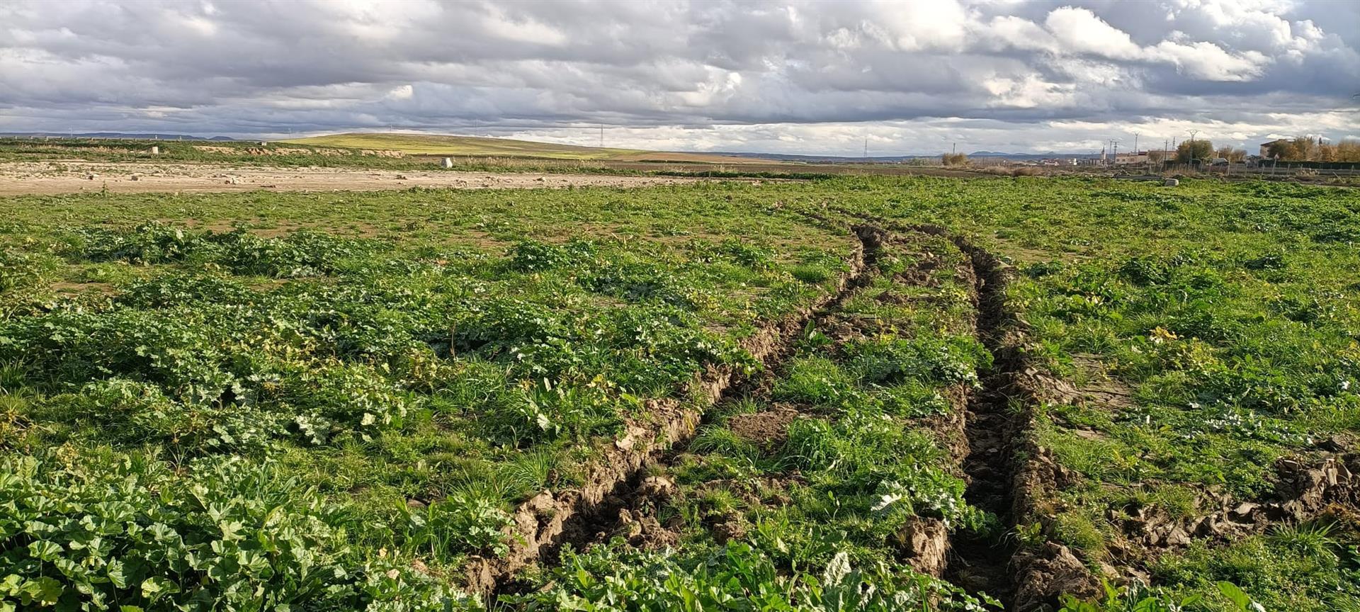 El mal estado de las parcelas afectadas por la DANA impide a los agricultores iniciar la siembra El mal estado de las parcelas afectadas por la DANA impide a los agricultores iniciar la siembra