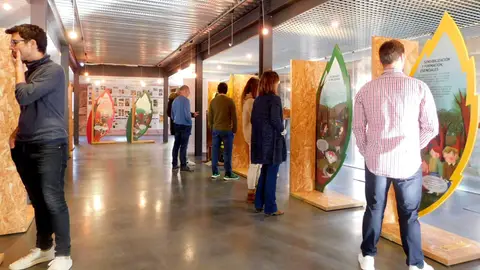 La Fundación Santa María la Real acoge una exposición sobre prevención de incendios forestales .