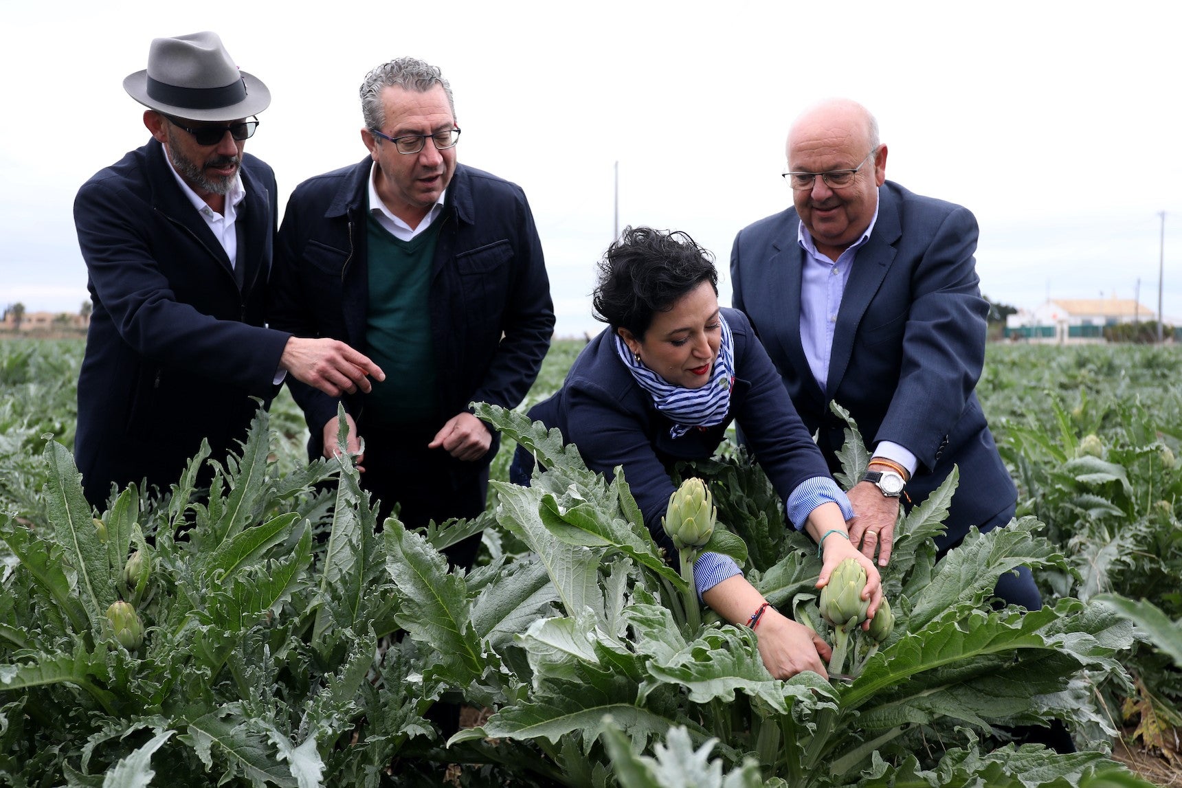 La Vega Baja inaugura la temporada de alcachofa con el corte simbólico a cargo de la chef Aurora Torres La Vega Baja inaugura la temporada de alcachofa con el corte simbólico a cargo de la chef Aurora Torres