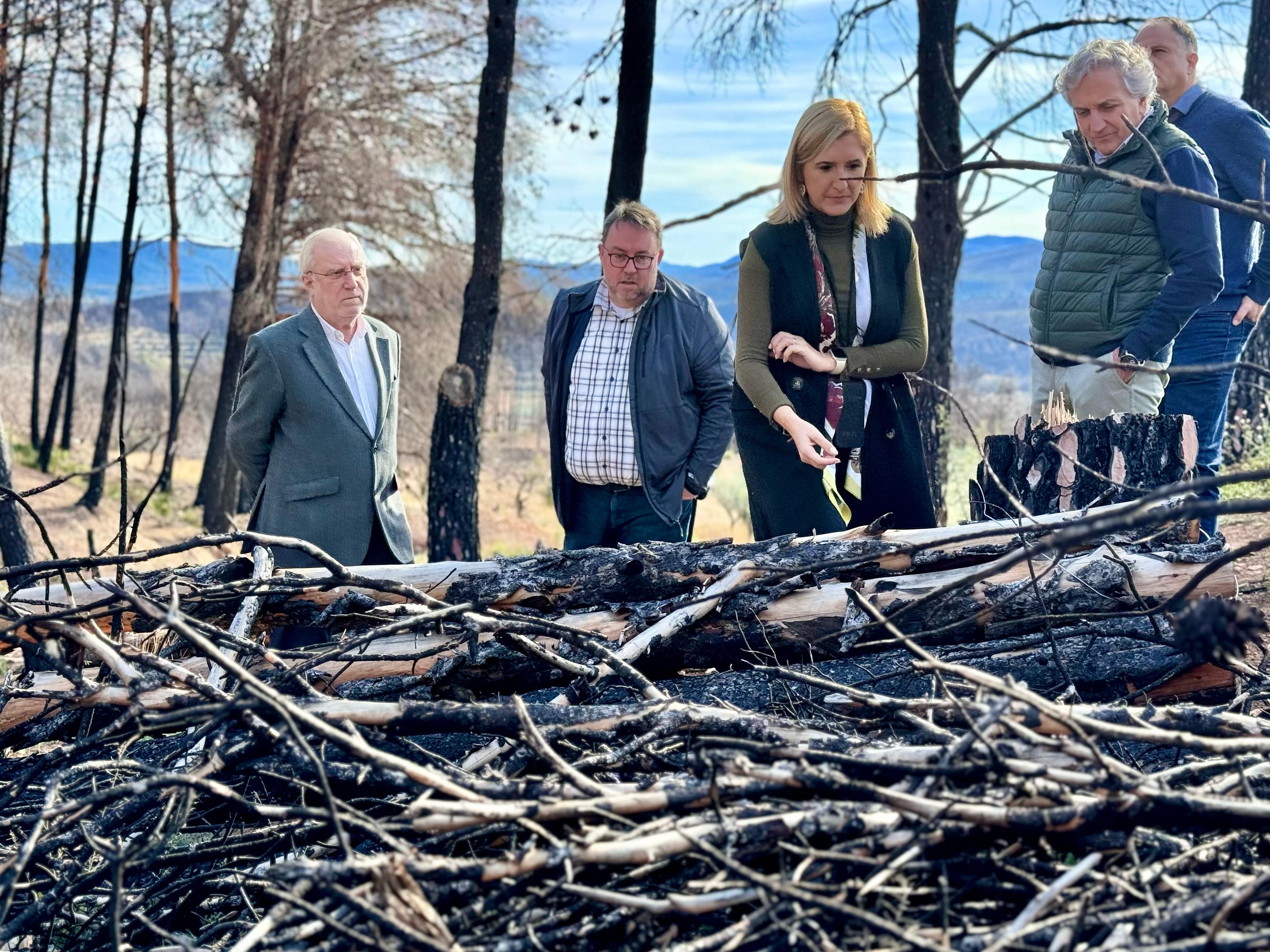 Destinan 1,3 millones para la restauración de los terrenos afectados por el incendio de Bejís Destinan 1,3 millones para la restauración de los terrenos afectados por el incendio de Bejís