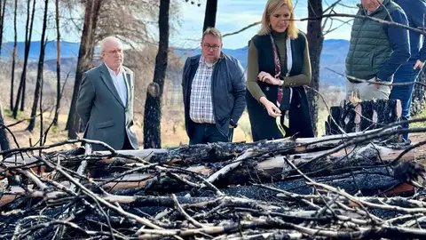 Destinan 1,3 millones para la restauración de los terrenos afectados por el incendio de Bejís Destinan 1,3 millones para la restauración de los terrenos afectados por el incendio de Bejís