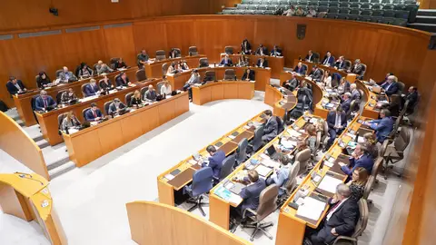 Imagen de la última sesión plenaria en el Parlamento autonómico Imagen de la última sesión plenaria en el Parlamento autonómico