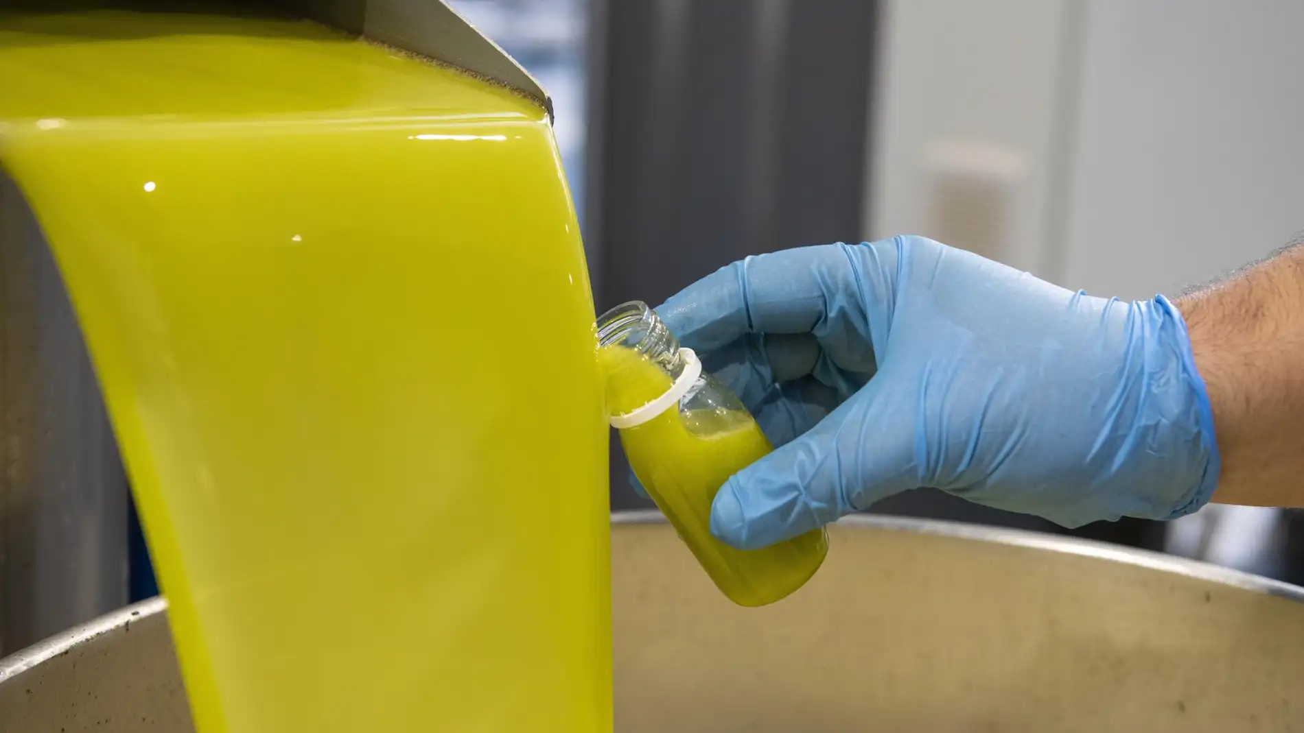 Imagen de archivo del proceso para obtener aceite de oliva en una almazara. 