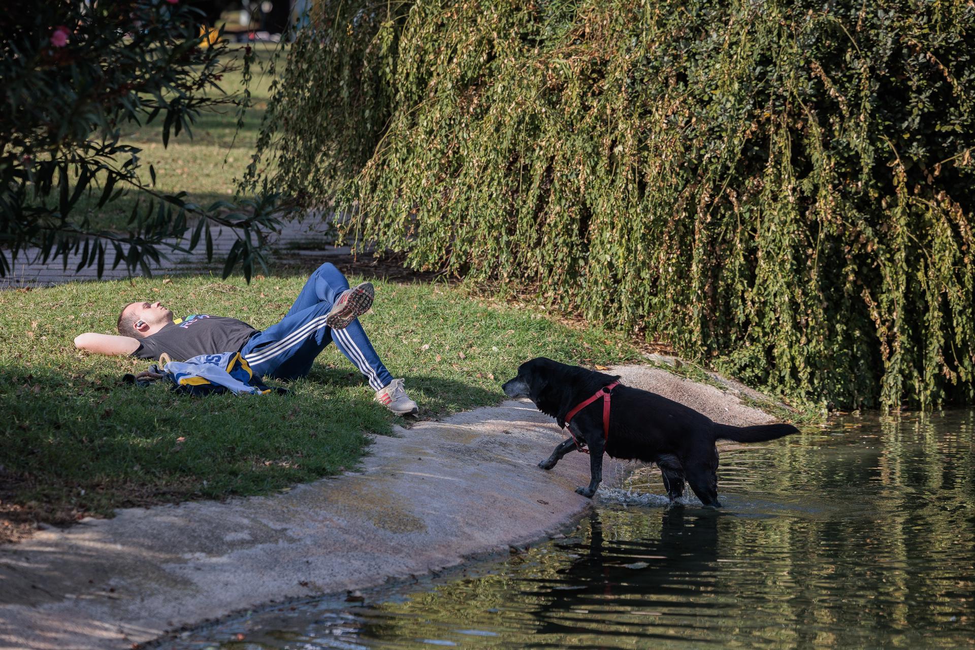 Subida generalizada de las temperaturas este domingo: las zonas donde se superarán los 20 grados Subida generalizada de las temperaturas este domingo: las zonas donde se superarán los 20 grados