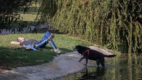 Subida generalizada de las temperaturas este domingo: las zonas donde se superarán los 20 grados Subida generalizada de las temperaturas este domingo: las zonas donde se superarán los 20 grados
