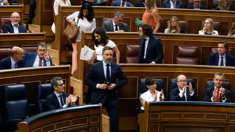 El Congreso debate este martes una iniciativa de Vox para volver al Código Penal anterior a la ley del 'sólo sí es sí' El Congreso debate este martes una iniciativa de Vox para volver al Código Penal anterior a la ley del 'sólo sí es sí'