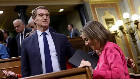 El presidente del Partido Popular, Alberto Núñez Feijóo El presidente del Partido Popular, Alberto Núñez Feijóo/ EFE/Mariscal