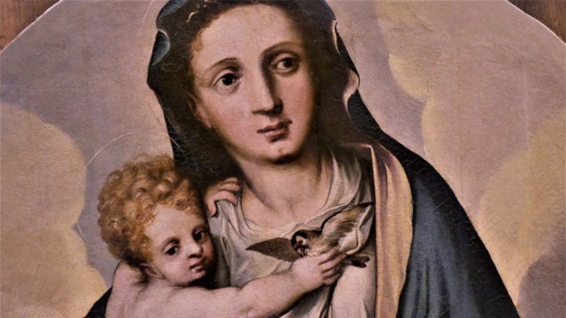 El Bellas Artes expondrá a partir del 20 de diciembre 'Virgen con el Niño' de Luis de Vargas tras restaurarla El Bellas Artes expondrá a partir del 20 de diciembre 'Virgen con el Niño' de Luis de Vargas tras restaurarla