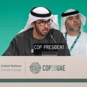 Presidente de la COP28 