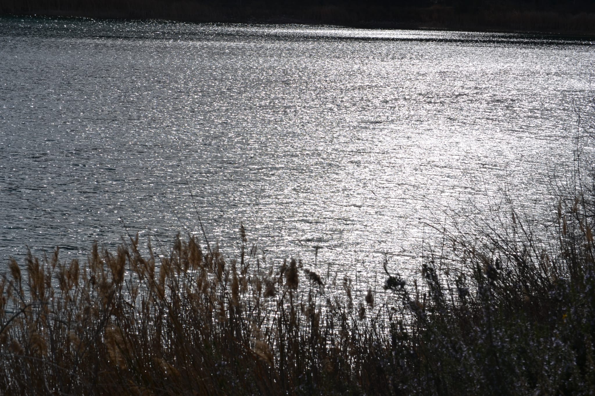 La Comunidad de Usuarios de Aguas Subterráneas de Campo de Montiel en total desacuerdo con la propuesta de reducción de dotación de agua para riego La Comunidad de Usuarios de Aguas Subterráneas de Campo de Montiel en total desacuerdo con la propuesta de reducción de dotación de agua para riego