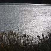 Imagen de las Lagunas de Ruidera Imagen de las Lagunas de Ruidera